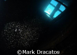 Inside the Engine Room of the Ghiannis D by Mark Dracatos 